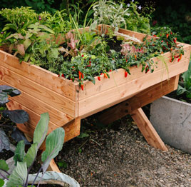 Eden Project outdoor vegetable table.jpg Eden Project outdoor vegetable table.jpg